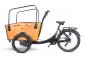 Preview: Elektrofahrrad Qivelo Curve 3 DR7 250W Pedelec E-Bike Lastenfahrrad 26 Zoll 7-Gang Shimano